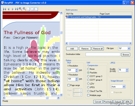 software interface of PDF to Image Converter